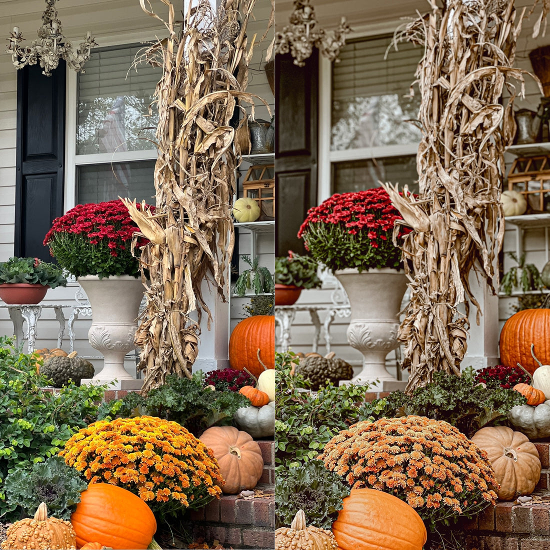 How to Use Your Mobile Lightroom Presets