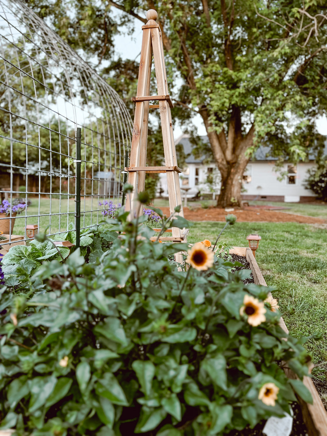 10 Tips for Small Cottage Gardening