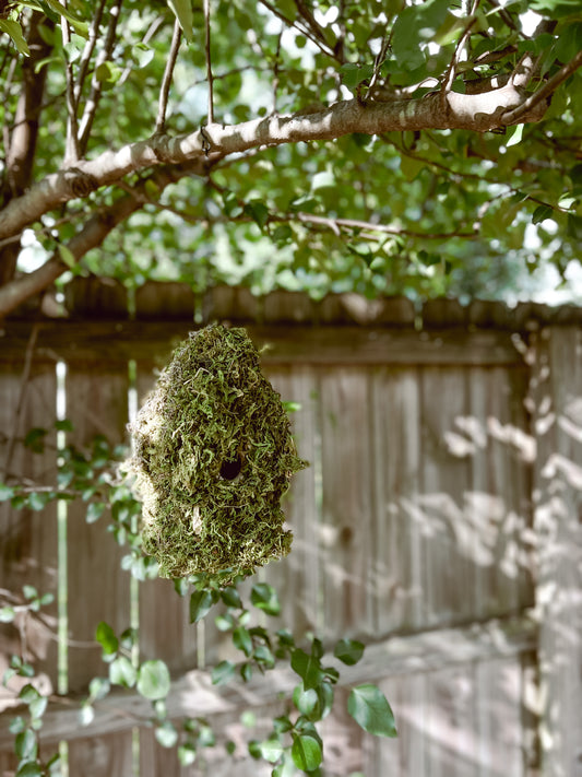 DIY Moss Covered Bird House