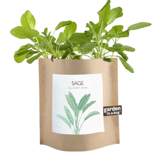 Herbs, Plants & Gardening