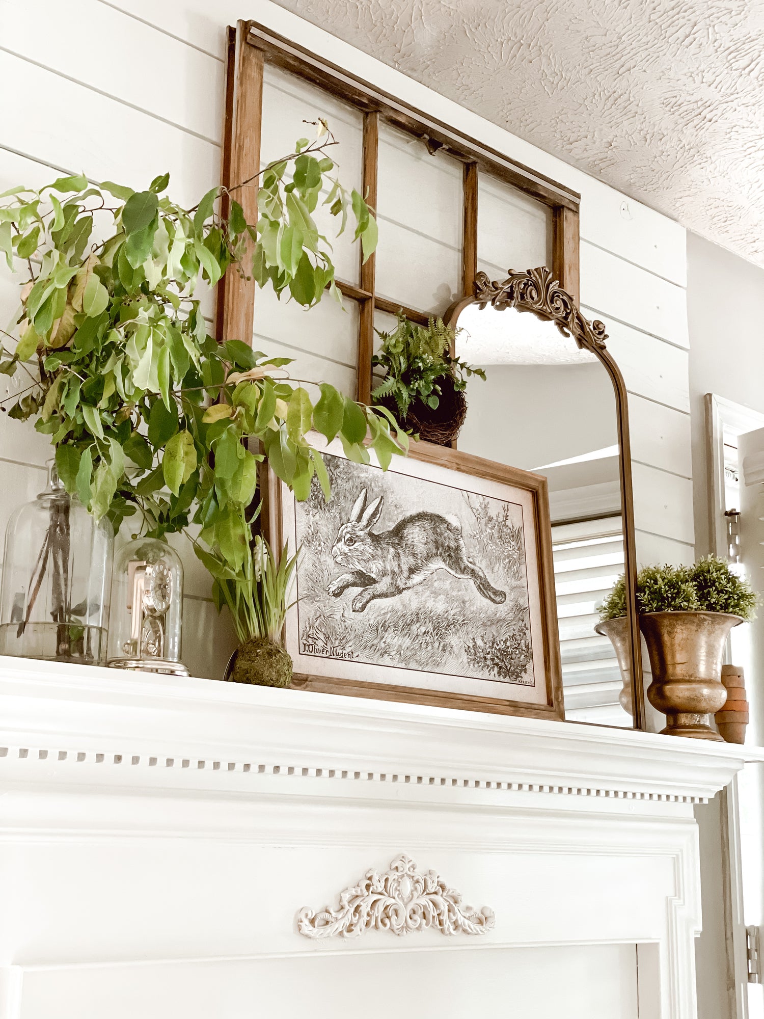 Everyday Cottage Décor Collection